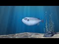Fugu fish by philippe arthur  japan  sad story fugu fishing japan cartoon trending