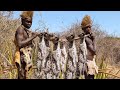 Hadzabe Tribe Catching And Eating Wild Cats