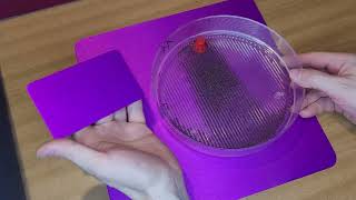 MMK14 Tesla purple plates, experiments with charging seeds