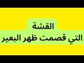 القشة اليت قصمت ظهر البعير 