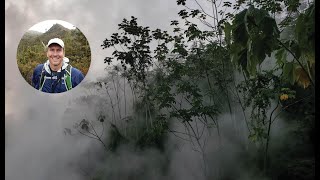 The Responses of Tropical Forests to Global Warming