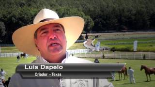 XXX Campeonato de Caballos Peruanos de Paso