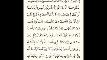 آيات من الذكر الحكيم من سورة فصلت للقارىء أبو محمد جبريل كيري