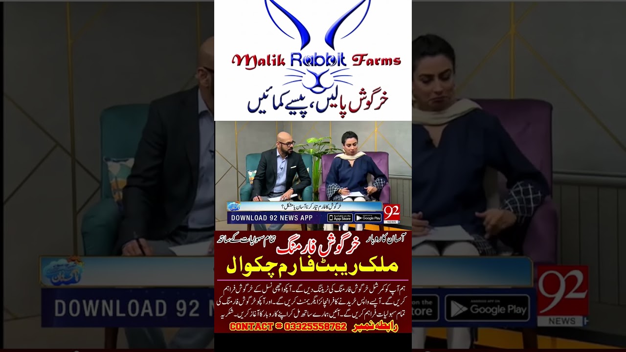 صرف ایک جوڑے سے آغاز… 🐰