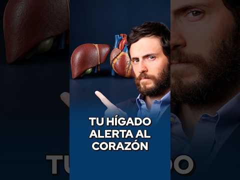 Tu HÍGADO también alerta al CORAZÓN