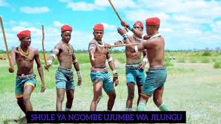 Shule Ya Ngombe Ujumbe Wa Jilungu Lifa 2 6 2025 Msambazaji Shule Ya Ngombe 