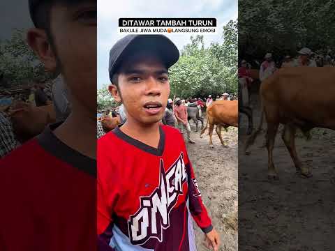 BAKULNYA EMOSI😡GARA-GARA DITAWAR LEBIH MURAH🔥#nawar #sapi #emosi #heboh #viral #fyp