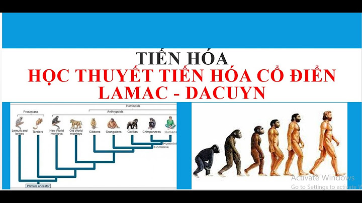 So sánh học thuyết tiến hóa của lamac và đacuyn