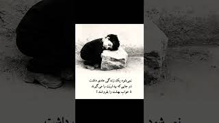 #duet #همزن #ukulelecover #شعر #قلبی #ukulelesongs #موزیک_بیکلام #poetry #رویایی #love #crbt #khan