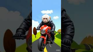 Download Lagu monyet cantik dan lucu nsik motor #monyet #monyet lucu #monyetcantik MP3