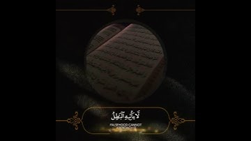 القارئ#صالح_الأنصاري|سورة فصلت