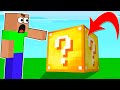 Me And Spy Found A NEW MINECRAFT BLOCK!