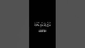 وقل ربي اعوذ بك من همزات الشياطين #تلاوة_خاشعة #تلاوة_مؤثرة #المصحف