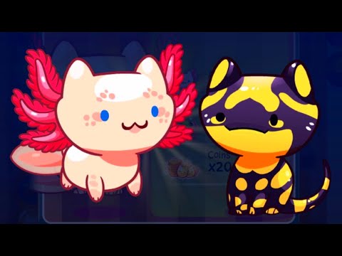 Koi Pond, Cat Game - The Cat Collector! Wiki