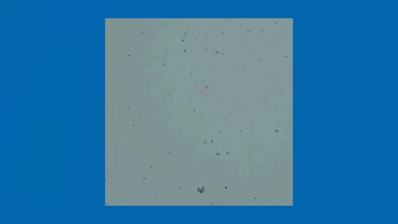  I'm only a fool for you - Blackbear (Sped up)