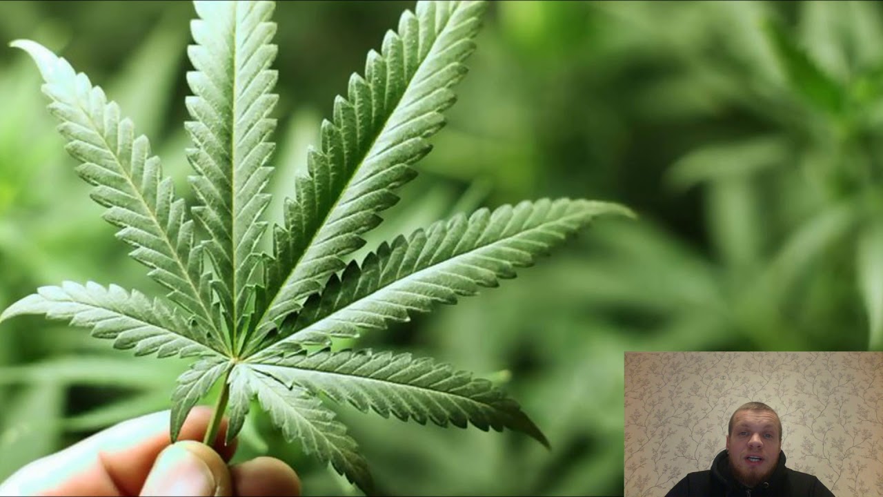 💊 Как влиять на Эпилепсию и болезнь Паркенсона | 🌿 Что помогает при ...