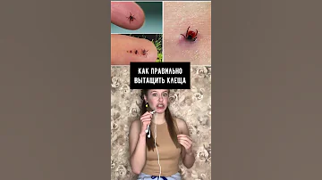 Никогда не вытаскивайте клеща маслом
