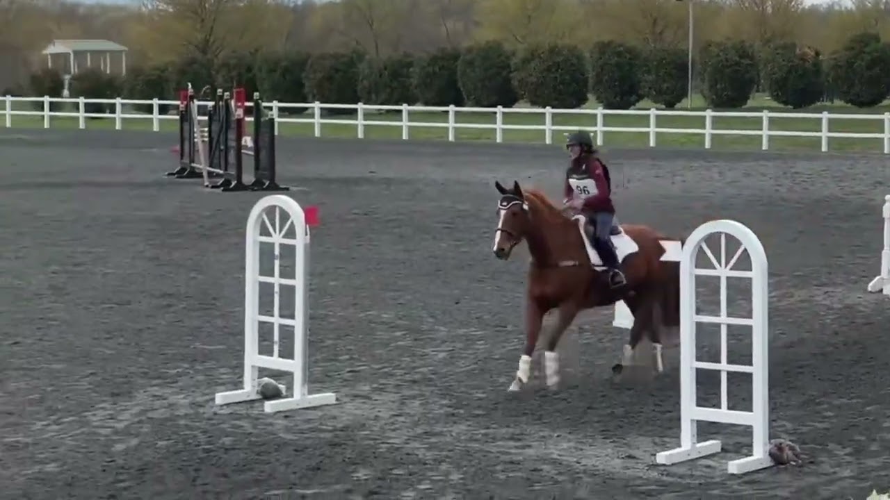 Alison’s Adventure: Show Jumping vs X Country