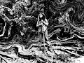 Mosca Muerta (Lotus Hymn)- Dustin Murdock