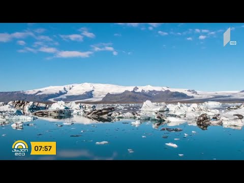 #ახალიდღე გლობალური დათბობა და საცხოვრებლის გარეშე დარჩენილი ცხოველები