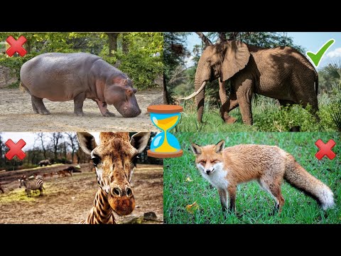 Kitty Bigbaby жеке жазбалары Kitty Bigbaby порно Ең әдемі әйелімен порно