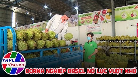 Chuyên đề kinh tế: Doanh nghiệp ĐBSCL nỗ lực vượt khó