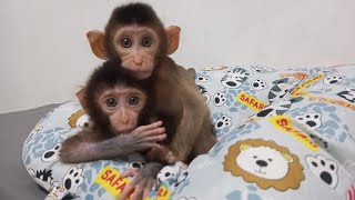 So Sweet They Love Each Other And Their Looks At Me So Melted My Heart