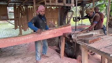 Teak Long Tree & Unique Cutting by Expert Staff|| Dangerous Wood Cutting Mill for Teak wood Process