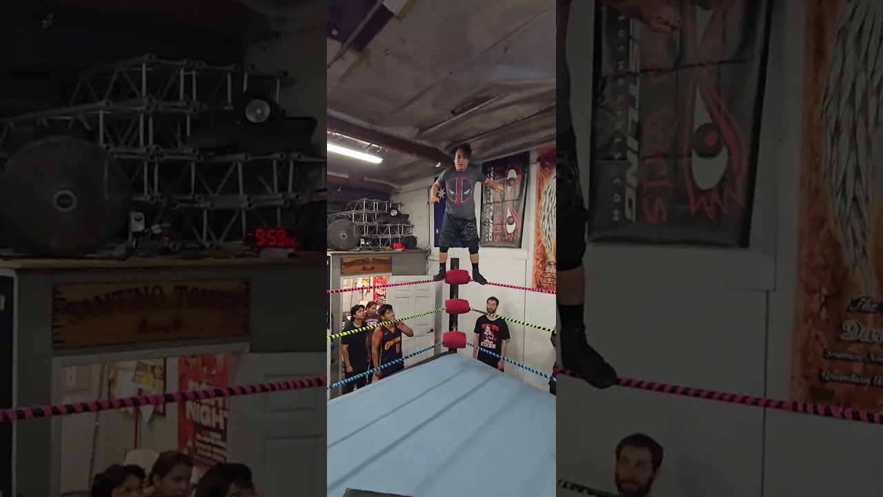 Off the top Rope! What would your move be? 