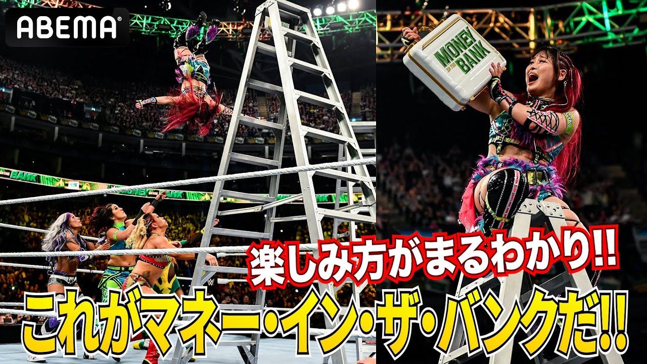 高さ約5mの脚立からダイブ！WWEビギナー必見！マネー・イン・ザ 