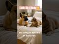 🥴Happy Hour | Talking Pet Thoughts EP05 #Shorts #Relatable #Viral #fyp #dog #cat