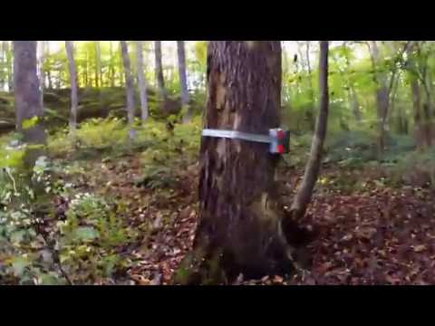Sunday Funday Tannerite Tree Removal