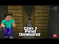 Can I Find Diamond (minecraft) #3