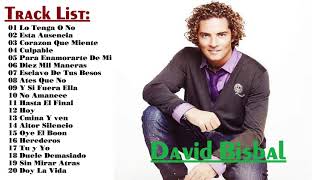 David Bisbal - La mejor canción || cantante David Bisbal  || [all album]