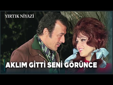 Yırtık Niyazi Türk