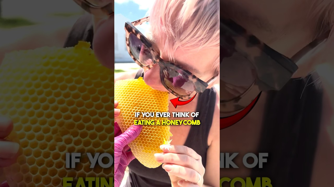 Don’t Eat Honeycombs 🐝
