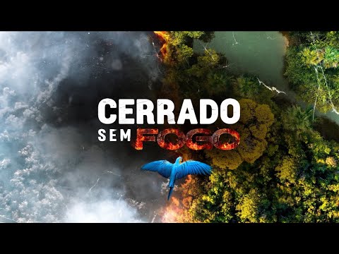 Cerrado Sem Fogo #2: queimadas provocam danos à saúde e ao meio ambiente | Canal Rural