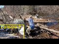 Dismantling Log Jam. Unclogging Culvert