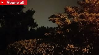 Şimşekli Sağanak Yağışlı Gece İstanbul Zeytinburnu Gök Gürültülü 10.07.2022