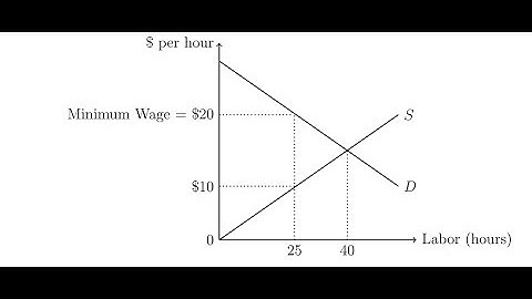 Deadweight Loss from Binding Minimum Wage in a Competitive Labor Market
