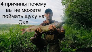 РЫБАЛКА на ОКЕ на ЩУКУ, ЗЛЫЕ ПОКЛЕВКИ !