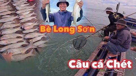 Trải Nghiệm Câu Cá Chét Tại Bè Long Sơn Vui Nhộn Như Phiên Chợ | Cuộc Sống Nông Thôn