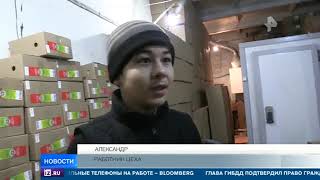 Салат с тараканами - в Екатеринбурге обнаружено подпольное производство фунчозы Салат с тараканами - в Екатеринбурге обнаружено подпольное производство фунчозы