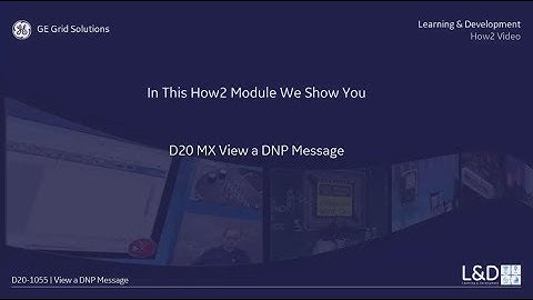 D20-1055 l View a DNP Message v1