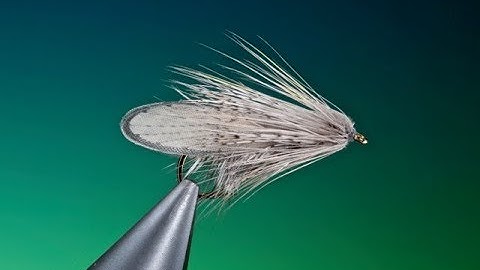 Tying the Great grey caddis with Barry Ord Clarke