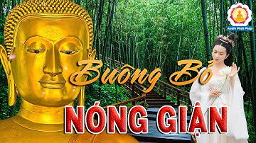 Phật Dạy Cách Kiềm Chế Và Chuyển Hóa Tức Giận I Cái Giá Của Sự Tức Giận I Sống Không Giận Dữ