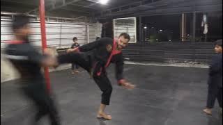 Dragon Kungfu Practice | Panniyankara Calicut