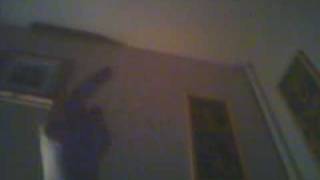 Capture 20090429
