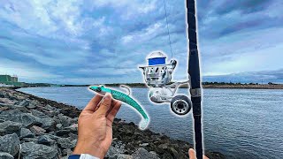 Shore JIGGING GIANT SWIMBAITS!  *Stripers & Bluefish In CAPE COD CANAL*