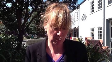 Senior .Net developer